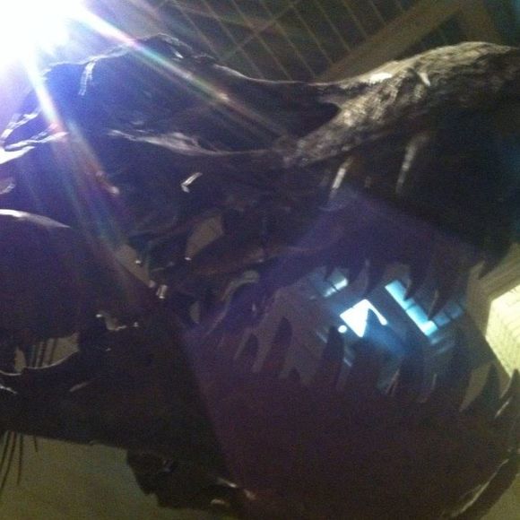 Meet your Posher, Zack - Picture 1 of 1